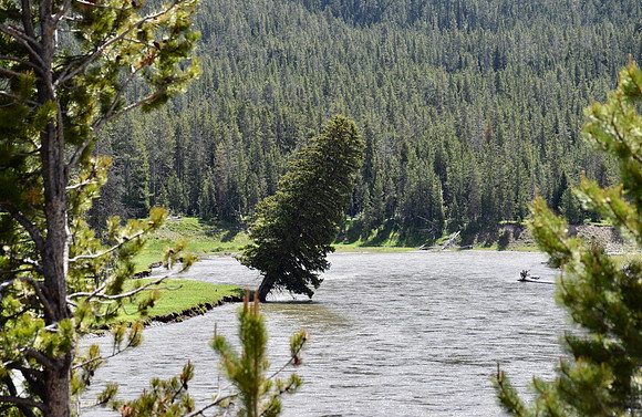 DSC_0464