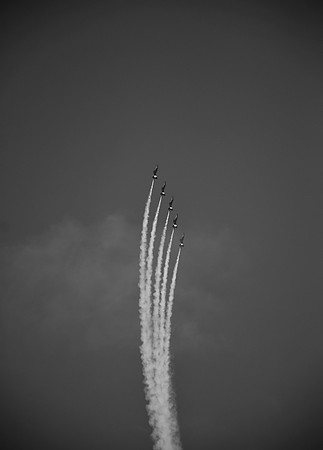 DSC_0723
