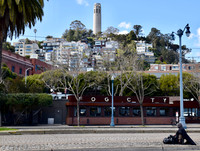 DSC_0005