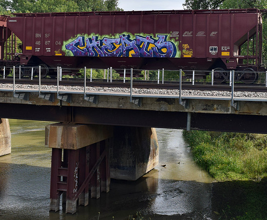 DSC_0017