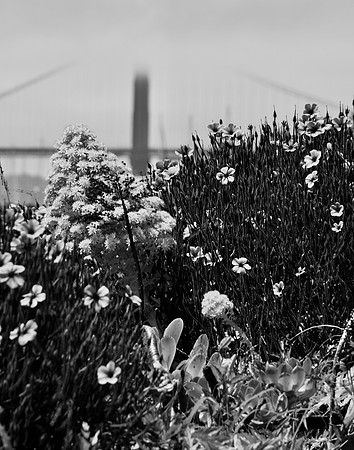 DSC_0021