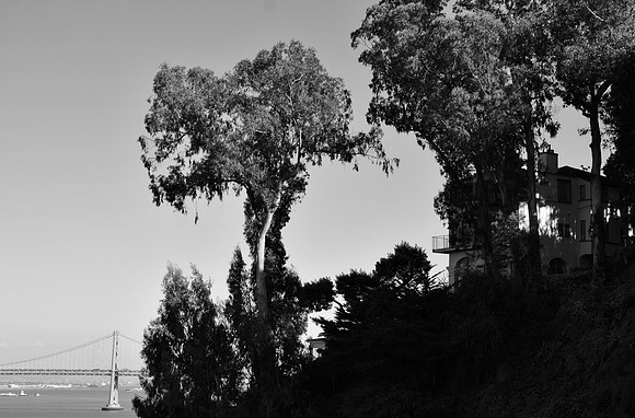DSC_0169