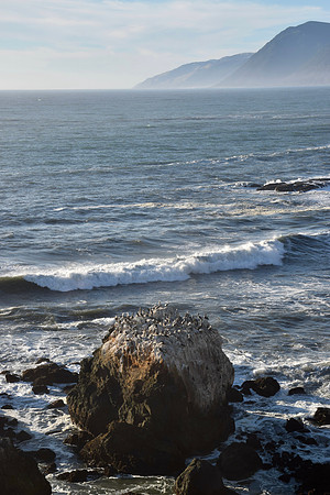 DSC_0697