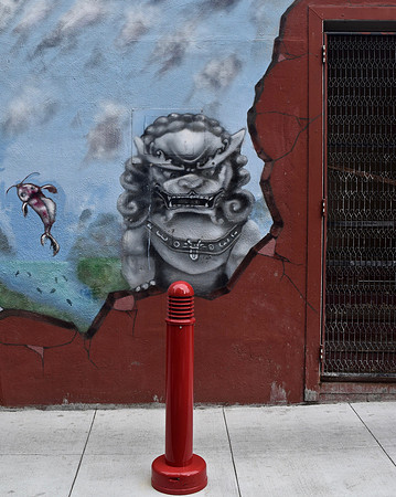 DSC_0105