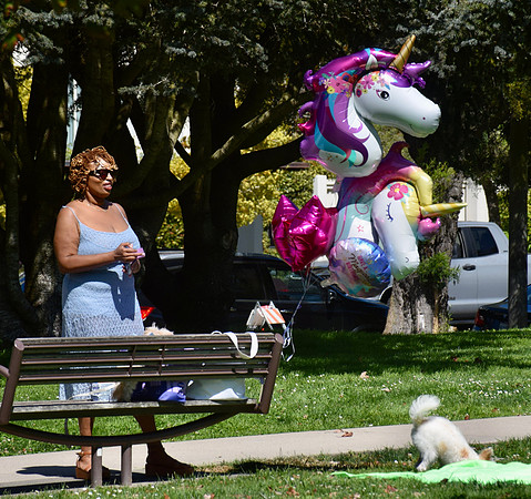 DSC_0567
