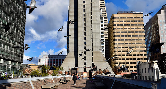 DSC_0050