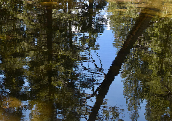 DSC_0249