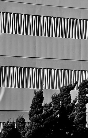 DSC_0184