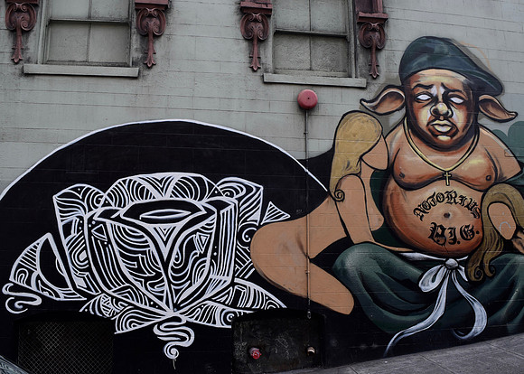 DSC_0084