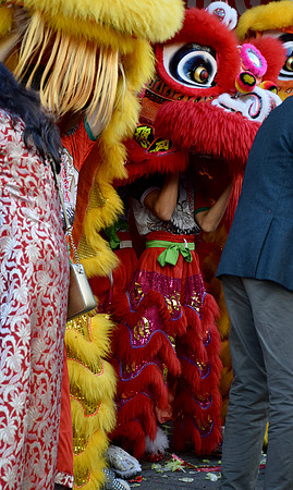 DSC_0066