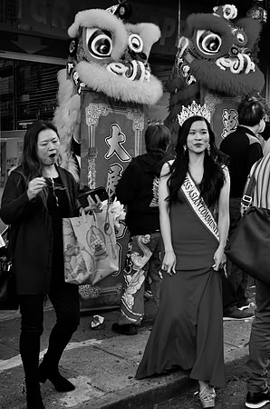 DSC_0049