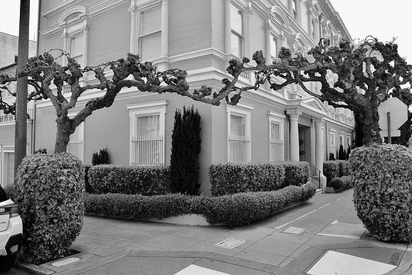 DSC_0029