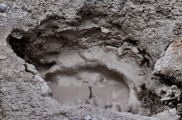 DSC_0666