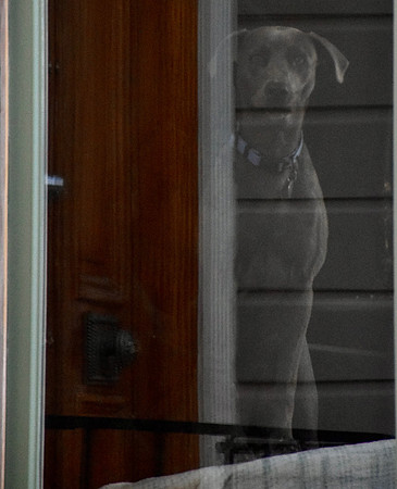 DSC_0065