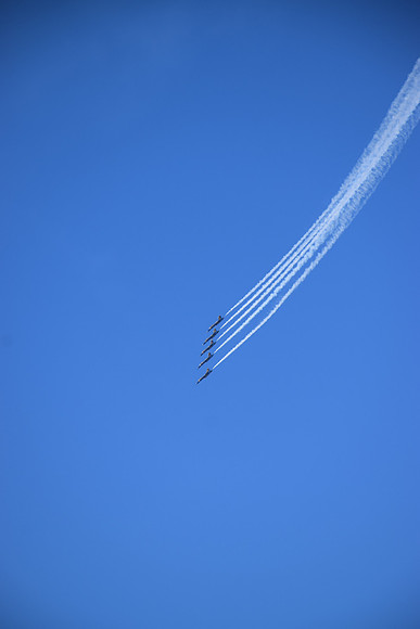 DSC_0611