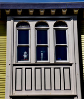 DSC_0195