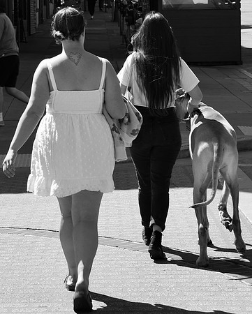 DSC_0055