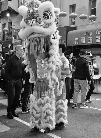 DSC_0028