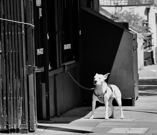 DSC_0062