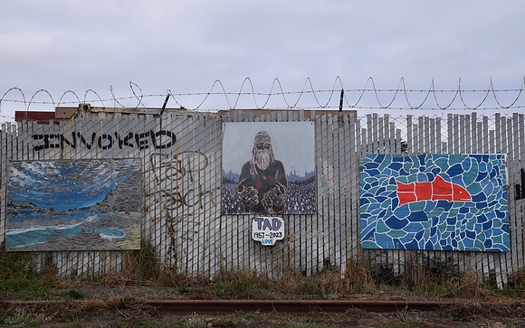DSC_0656