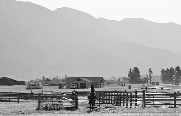 DSC_0971