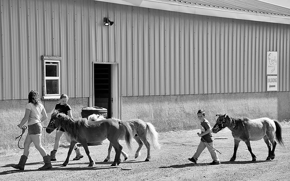 DSC_0964