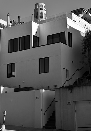 DSC_0195