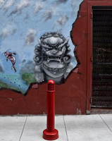 DSC_0105