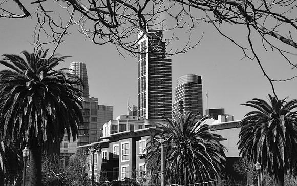 DSC_0140
