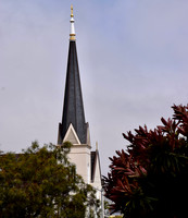 DSC_0029
