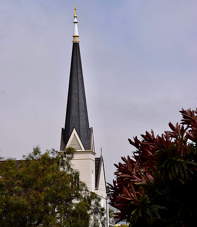 DSC_0029