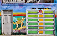 SF in Color 13