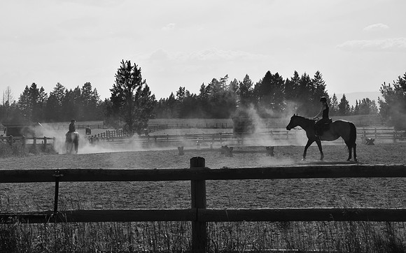 DSC_0913