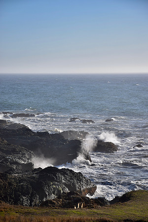 DSC_0692
