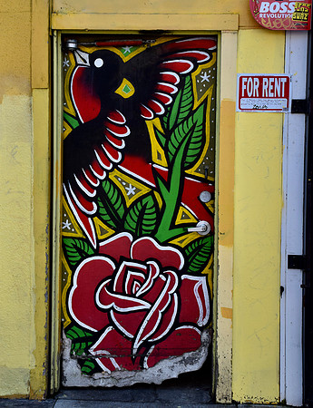 DSC_0081