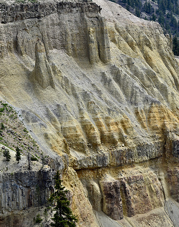 DSC_0742