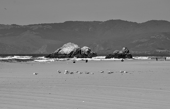 DSC_0067