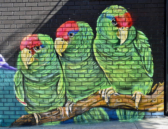 DSC_0208