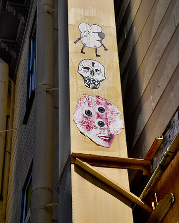 DSC_0103