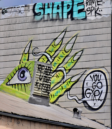 DSC_0008