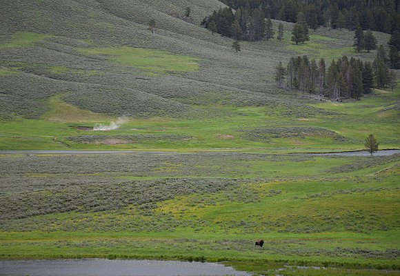 DSC_0681