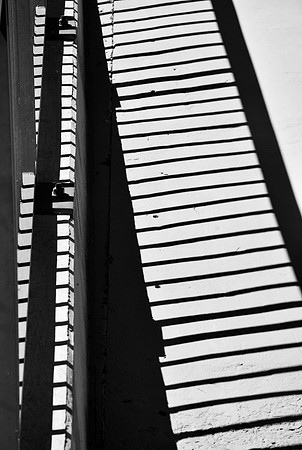 DSC_0041
