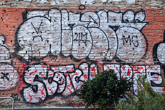 DSC_0053