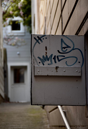 DSC_0159