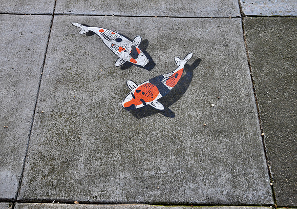 DSC_0038