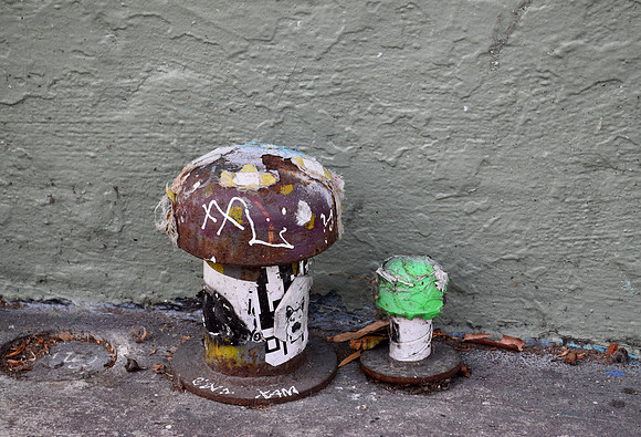 DSC_0019