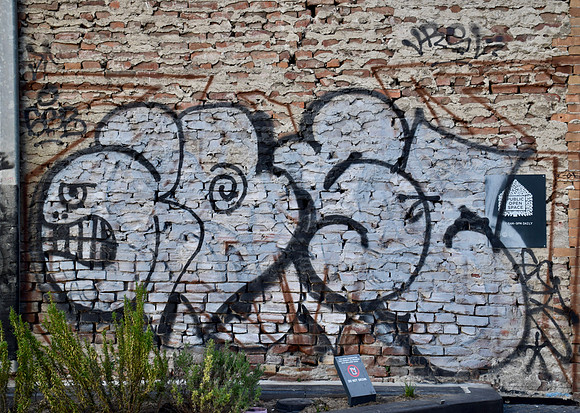 DSC_0050
