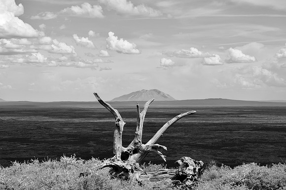 DSC_0177