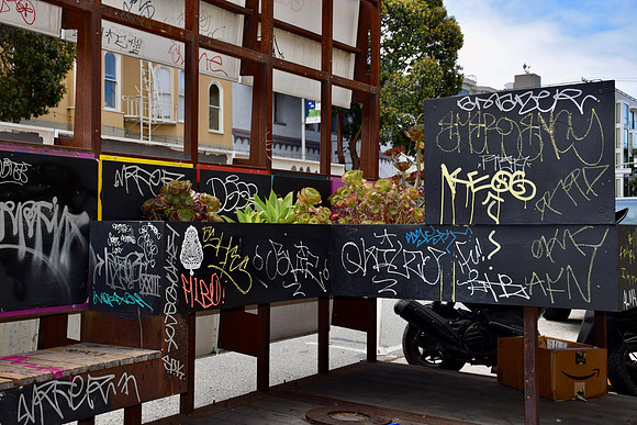 DSC_0048
