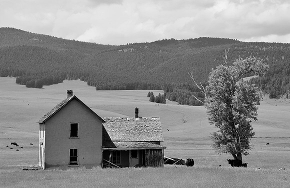DSC_0865